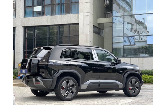 Leopard 3 Ultra 4 WD Black